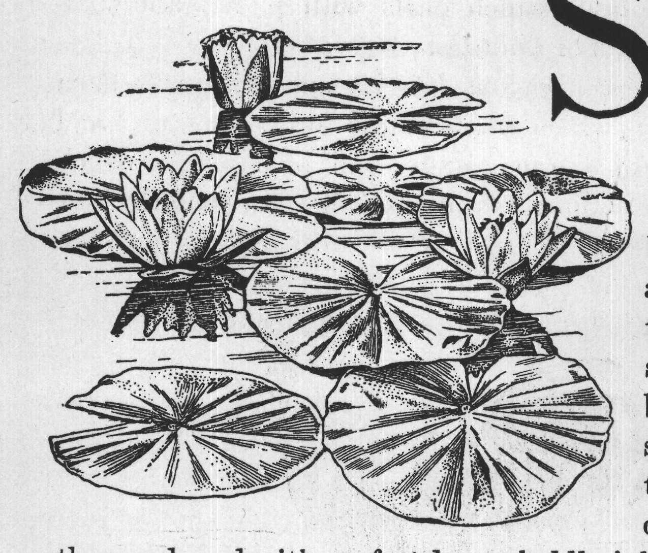 the pond, and with perfect lungs boldly inhales the pure