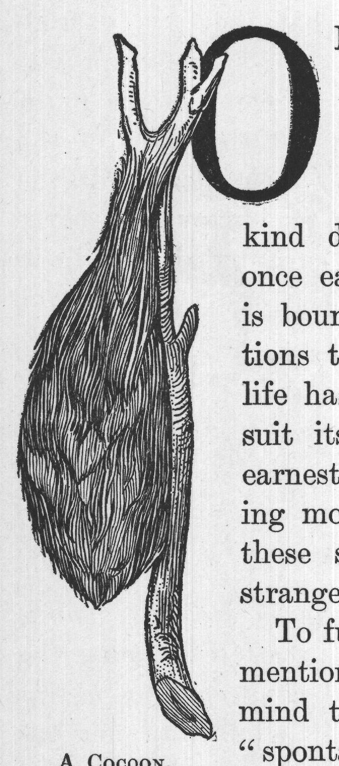 " spontaneous generation" of life. Every