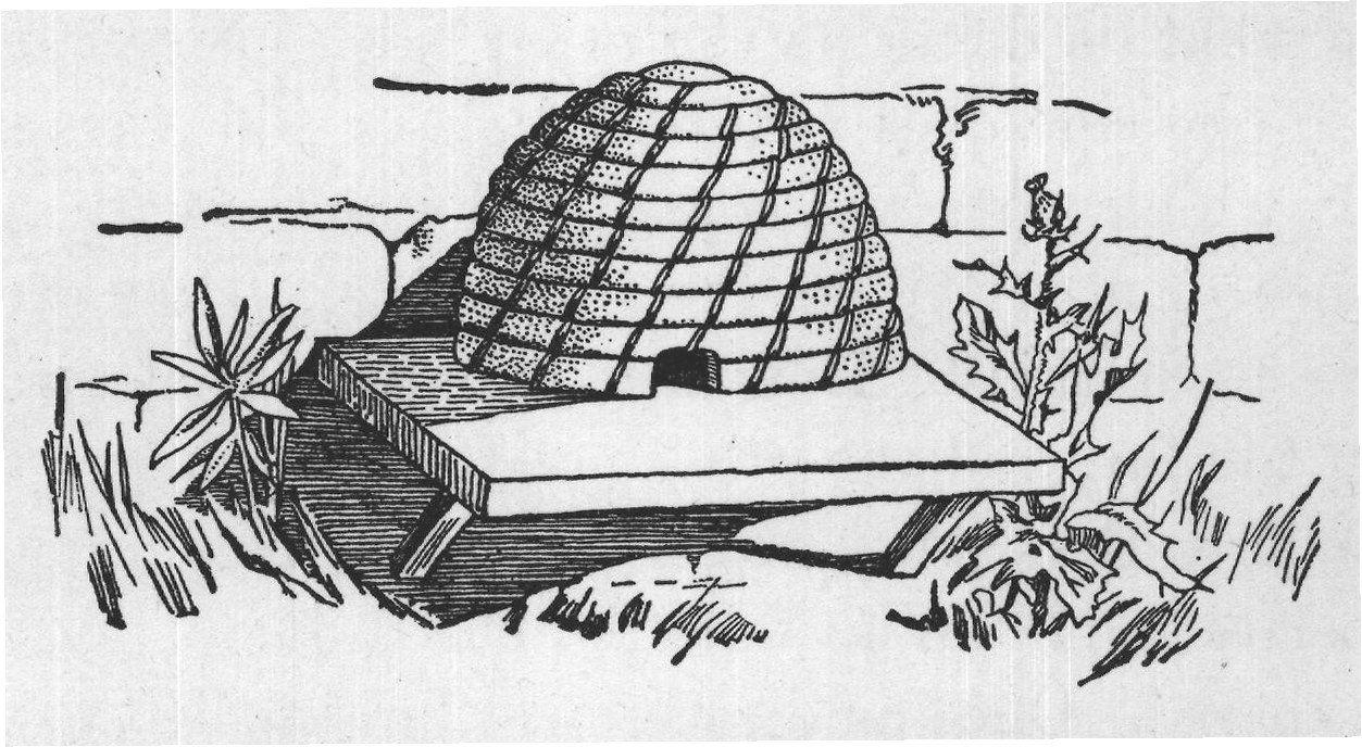 The Foundations of a Wonderful City: Buffon — from A Book of Natural History (1902)