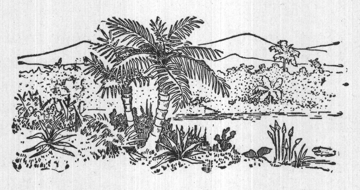 How Snakes Eat: Ophiophagus — from A Book of Natural History (1902)