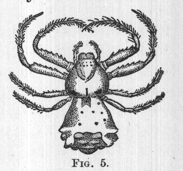 FIG. 5.
