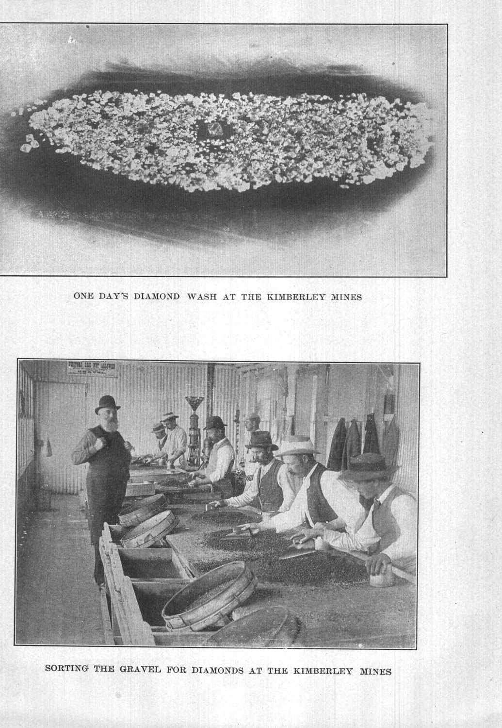 One day's diamond wash at the Kimberley Mines — sorting the gravel for diamonds