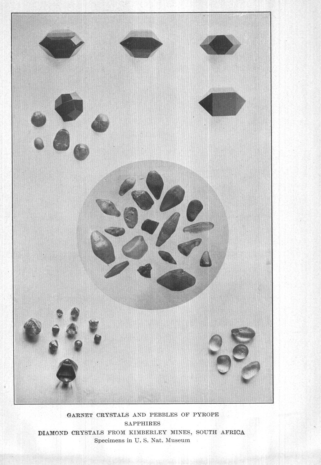 Garnet crystals and pebbles of pyrope; sapphires; diamond crystals from Kimberley Mines. Specimens in U.S. National Museum
