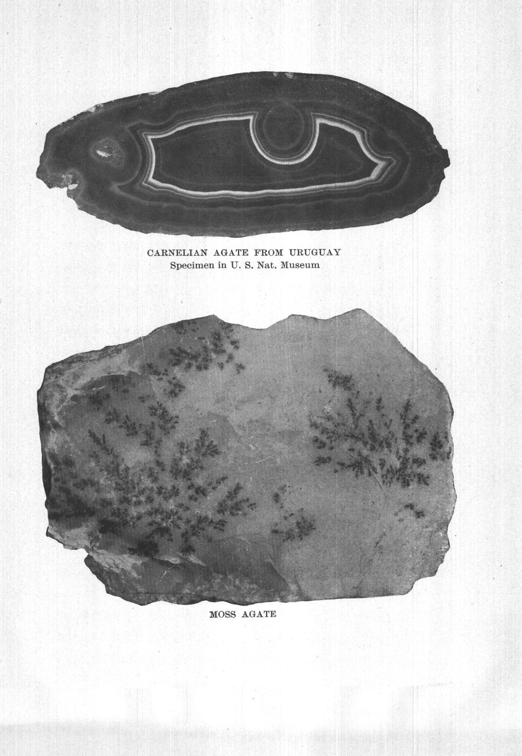 Carnelian agate from Uruguay — moss agate. Specimens in U.S. National Museum