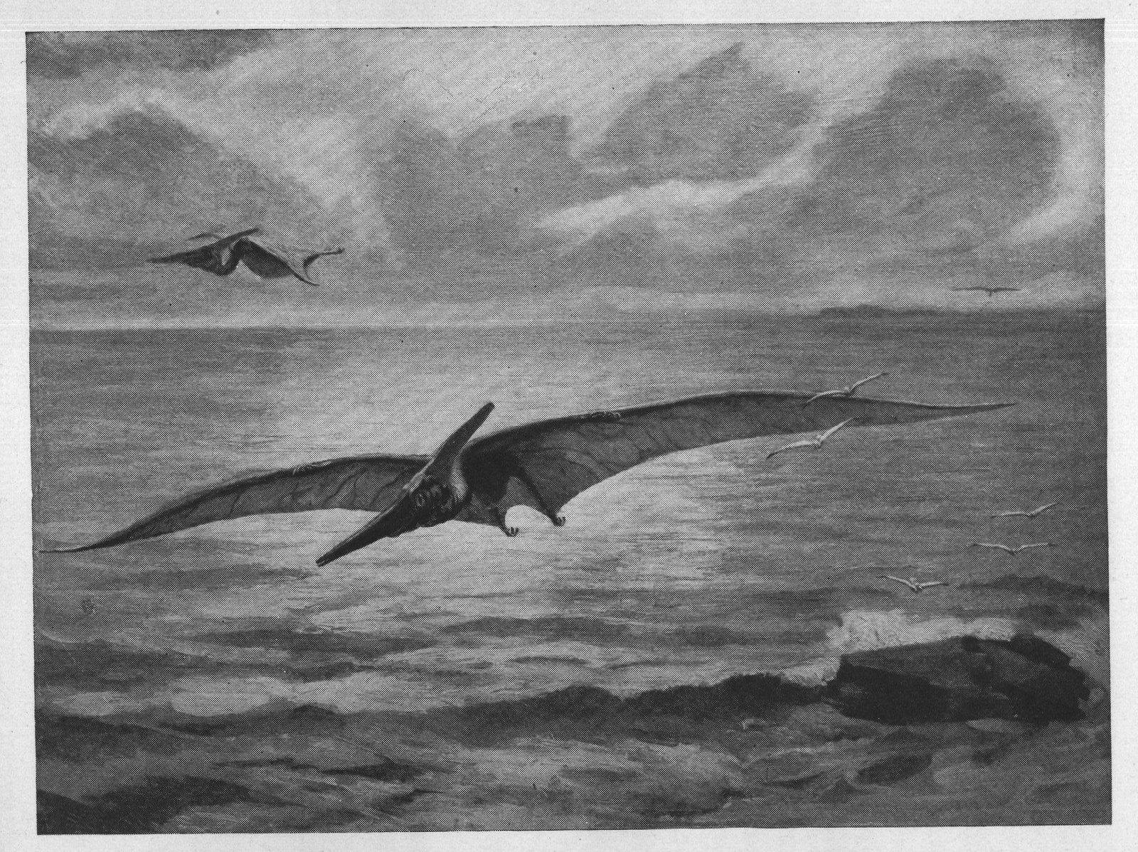 Flying Reptiles: Pterodactyls — from Animals of the Past (1922)
