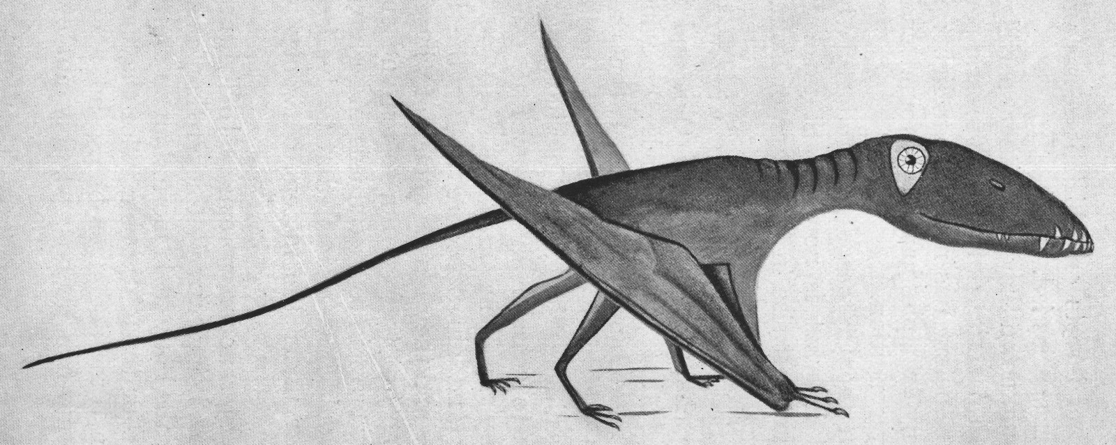 Drawn by Miss E. B. Seeley