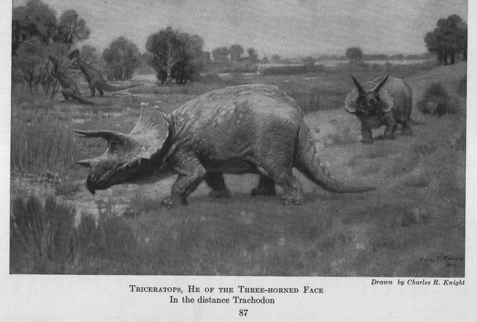 The Dinosaurs: Brontosaurus — from Animals of the Past (1922)
