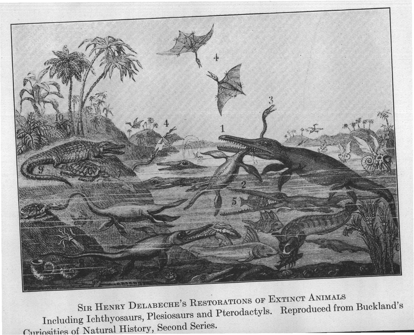 Reading The Riddles Of The Rocks — from Animals of the Past (1922)