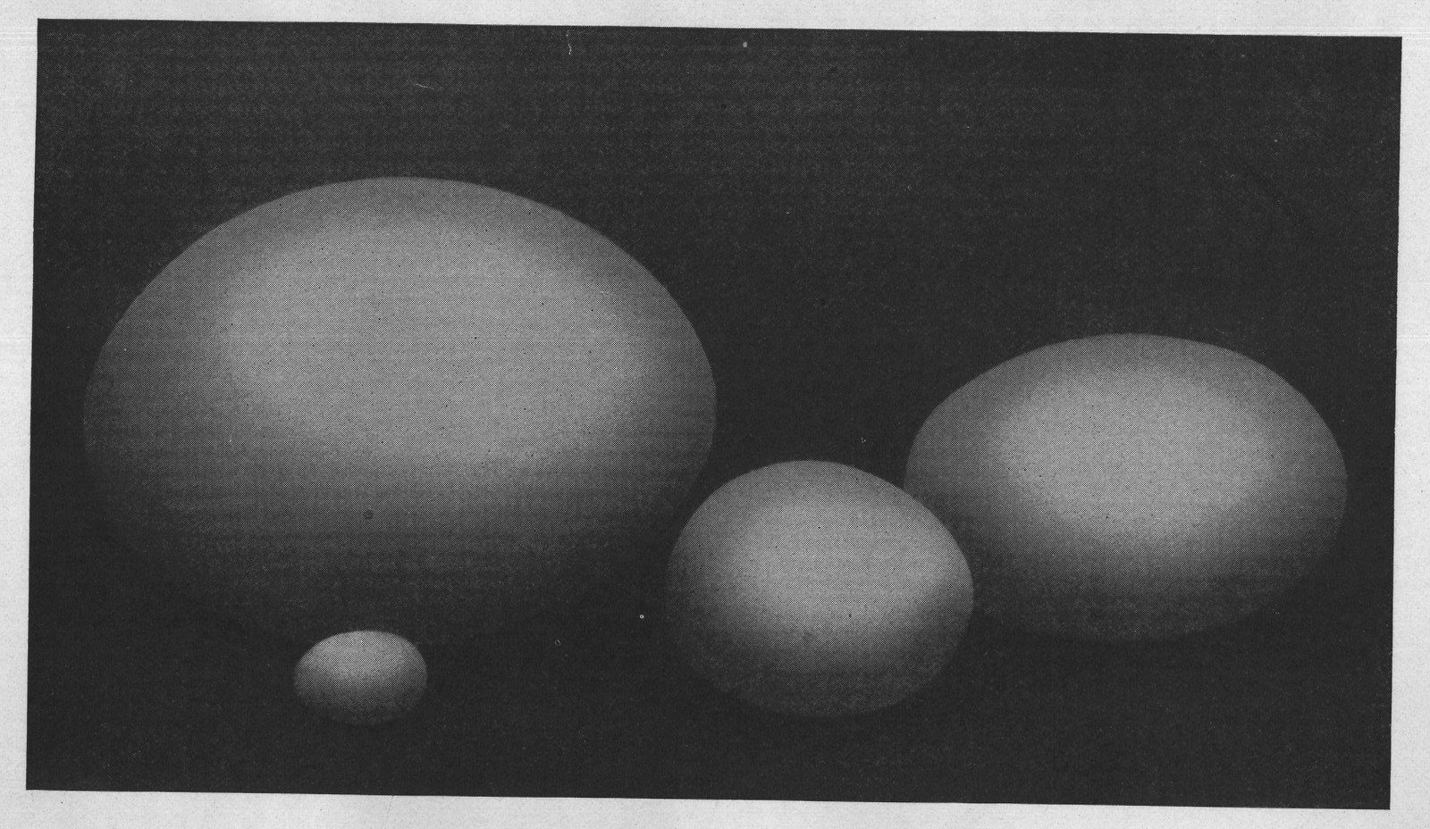 EGGS OF FEATHERED GIANTS