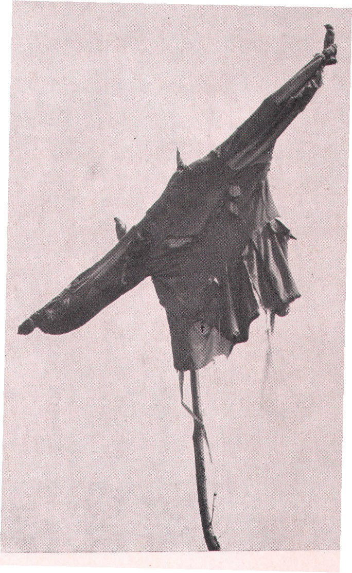 Fig. 69. AN UNUSUAL SIGHT.