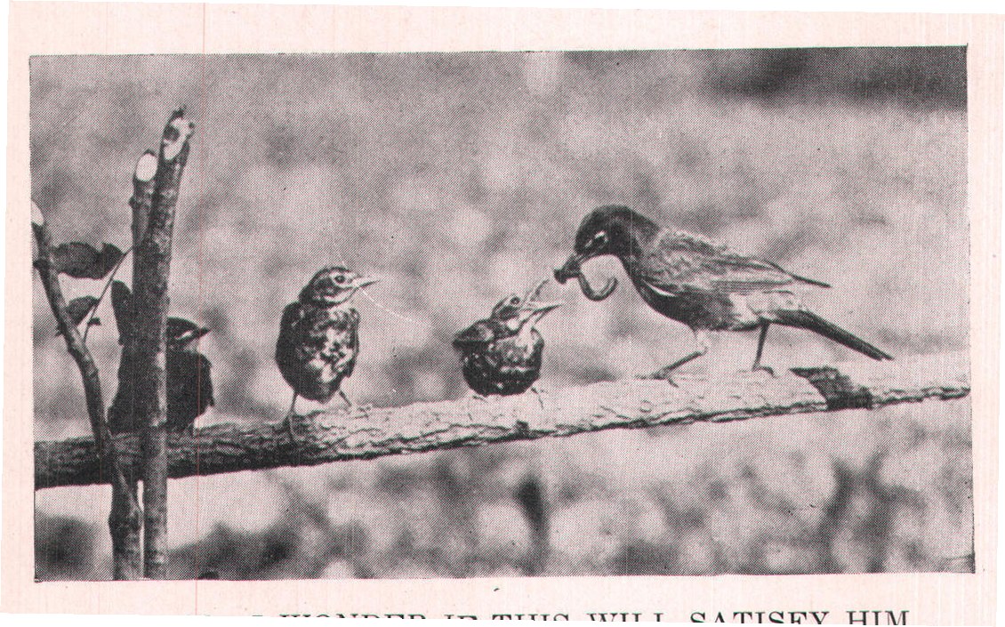 Fig. 97. I WONDER IF THIS WILL SATISFY HIM.