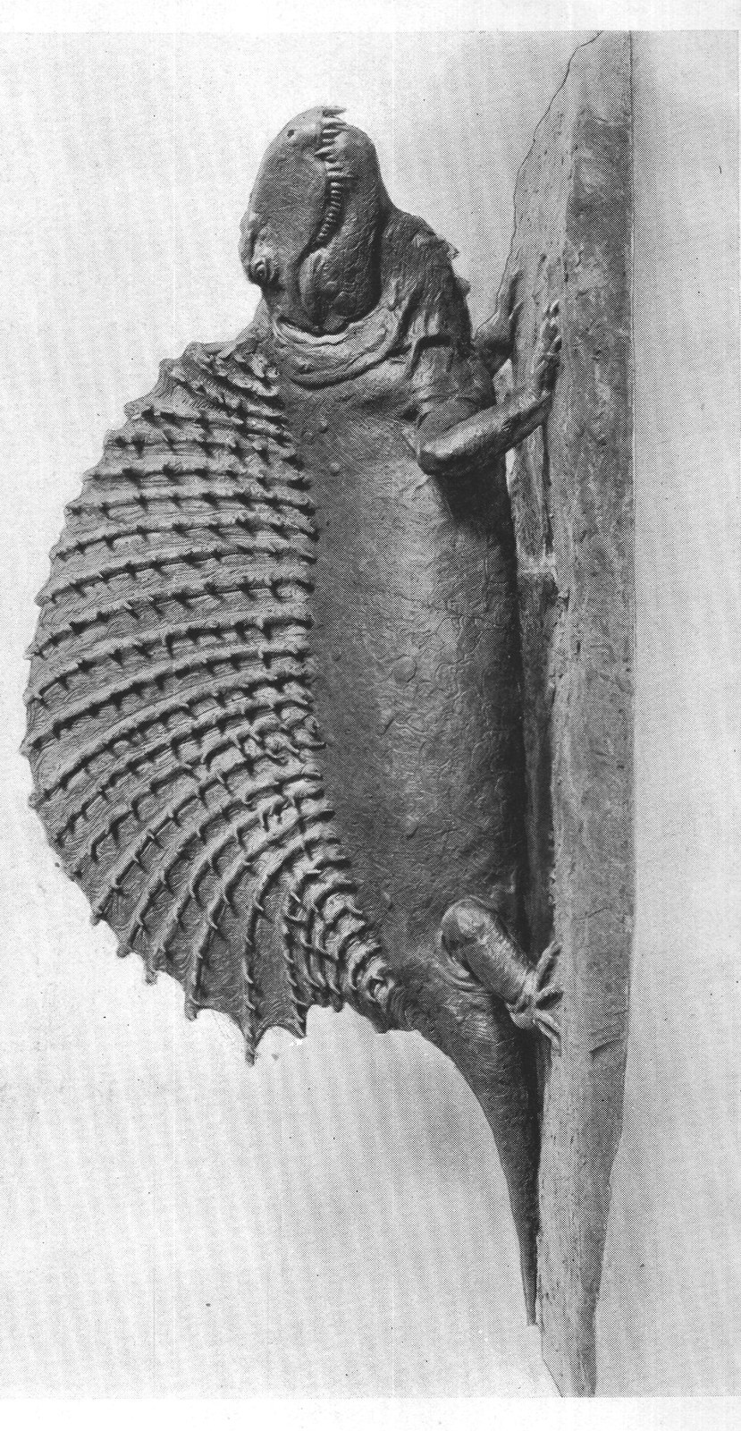 Anomalous Reptiles: History — from Extinct Monsters and Creatures of Other Days (1900)