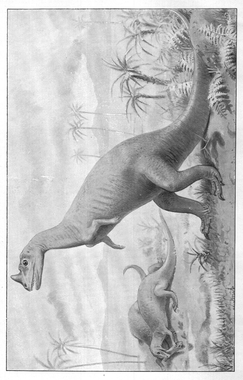 The Dragons of Old Time-Dinosaurs: Megalosaurus — from Extinct Monsters and Creatures of Other Days (1900)