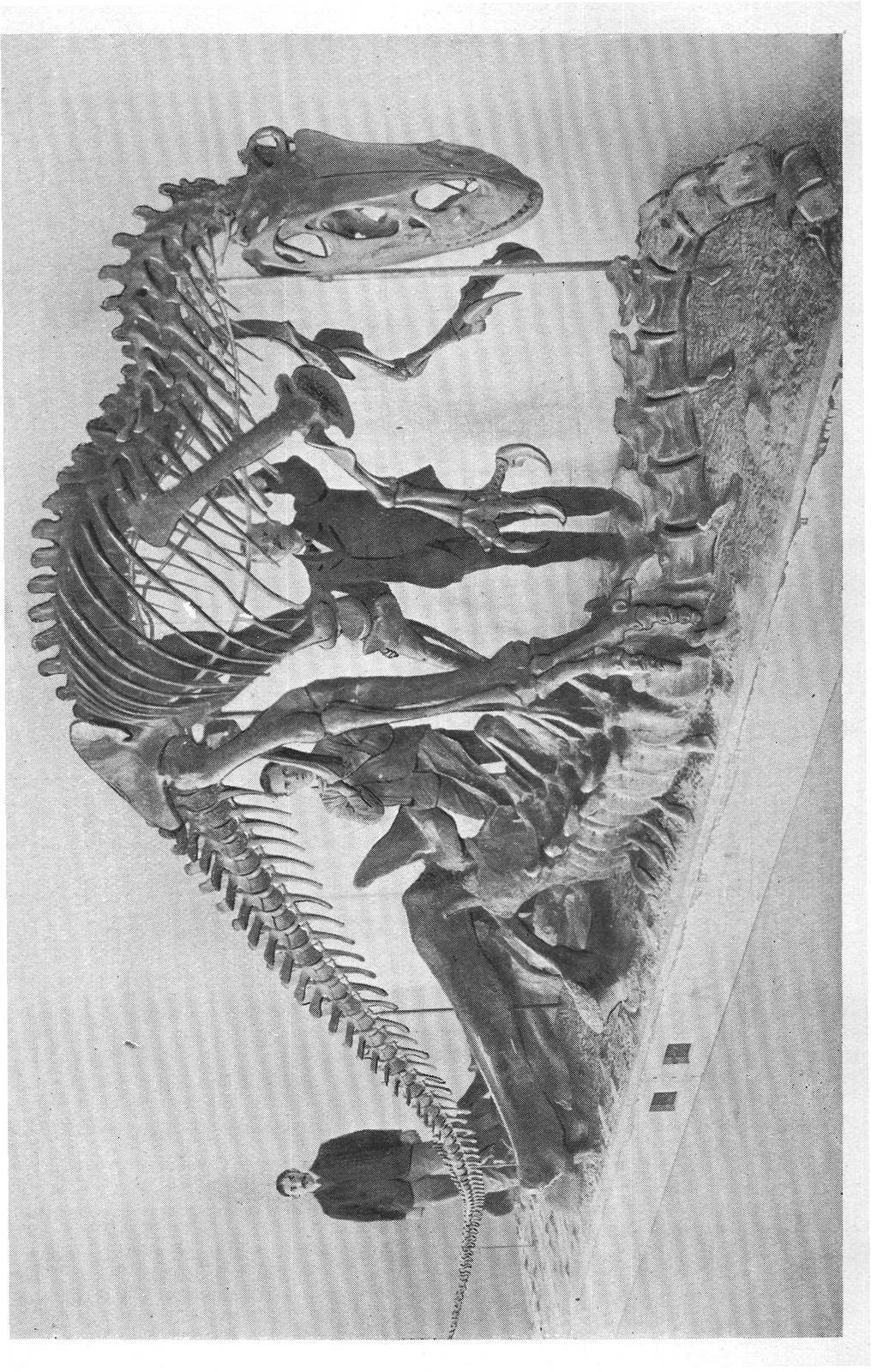 The Dragons of Old Time-Dinosaurs: Megalosaurus — from Extinct Monsters and Creatures of Other Days (1900)