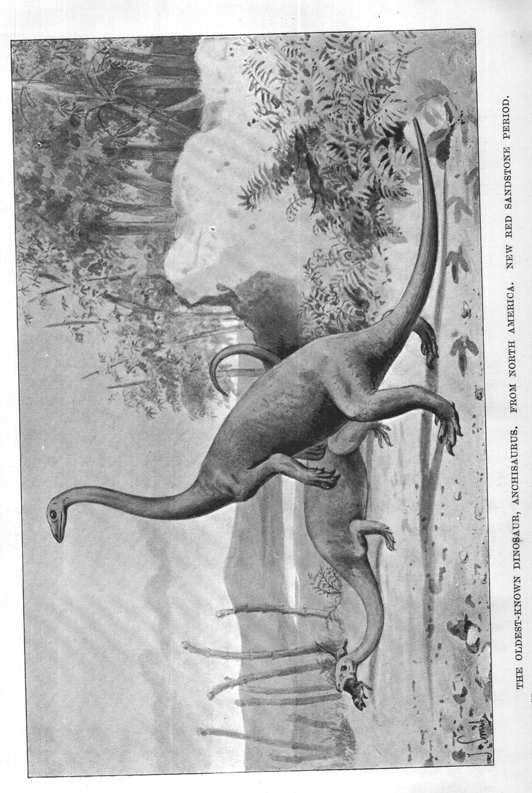 The Dragons of Old Time-Dinosaurs: Anchisaurus — from Extinct Monsters and Creatures of Other Days (1900)