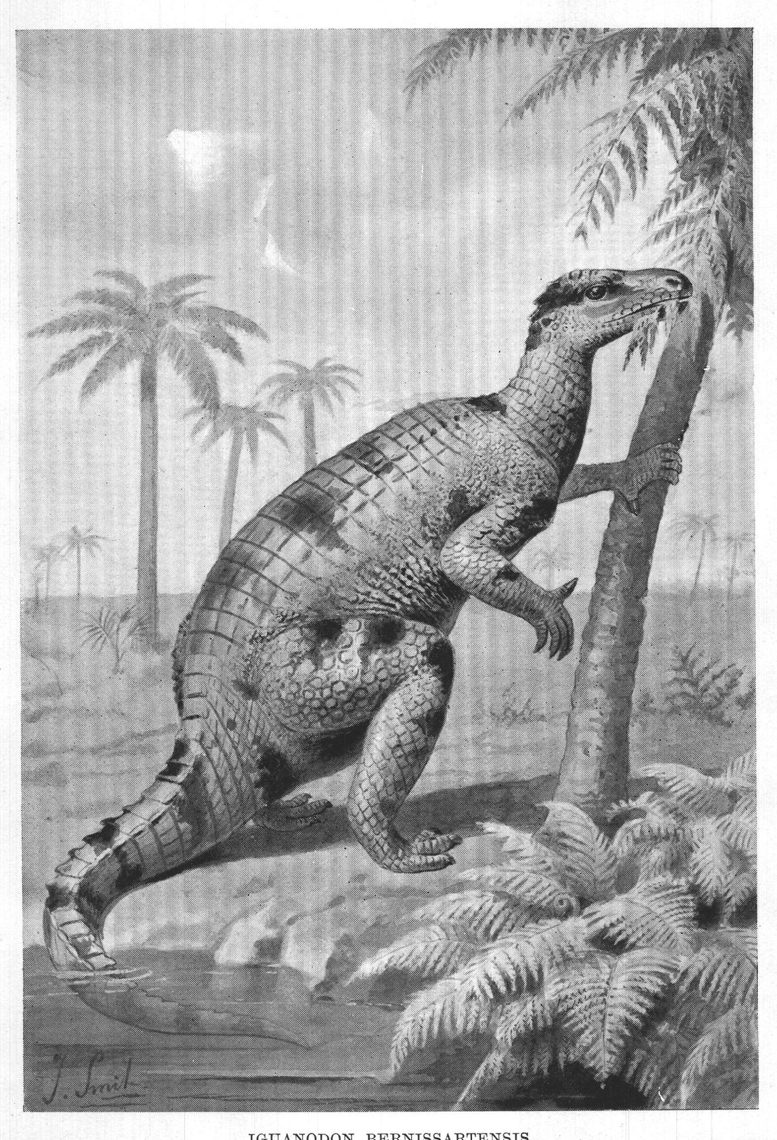 IGUANODON BERNISSARTENSIS.