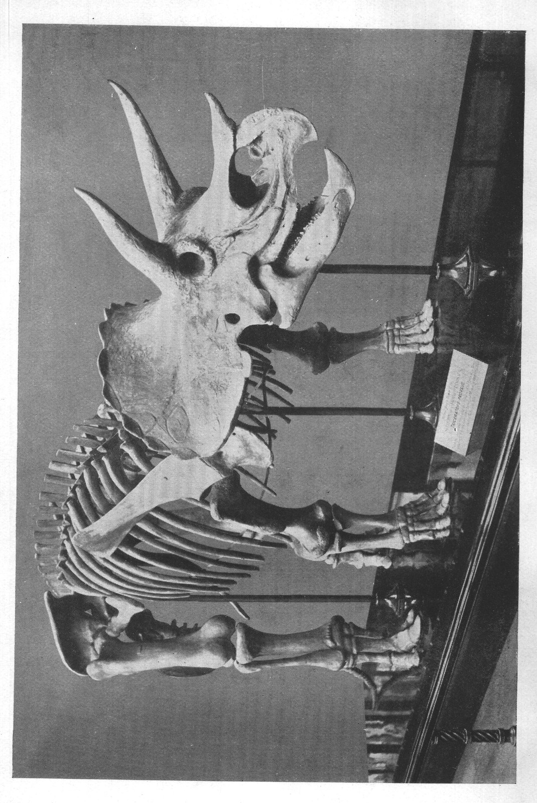 CHAPTER IX: Marsh's — from Extinct Monsters and Creatures of Other Days (1900)