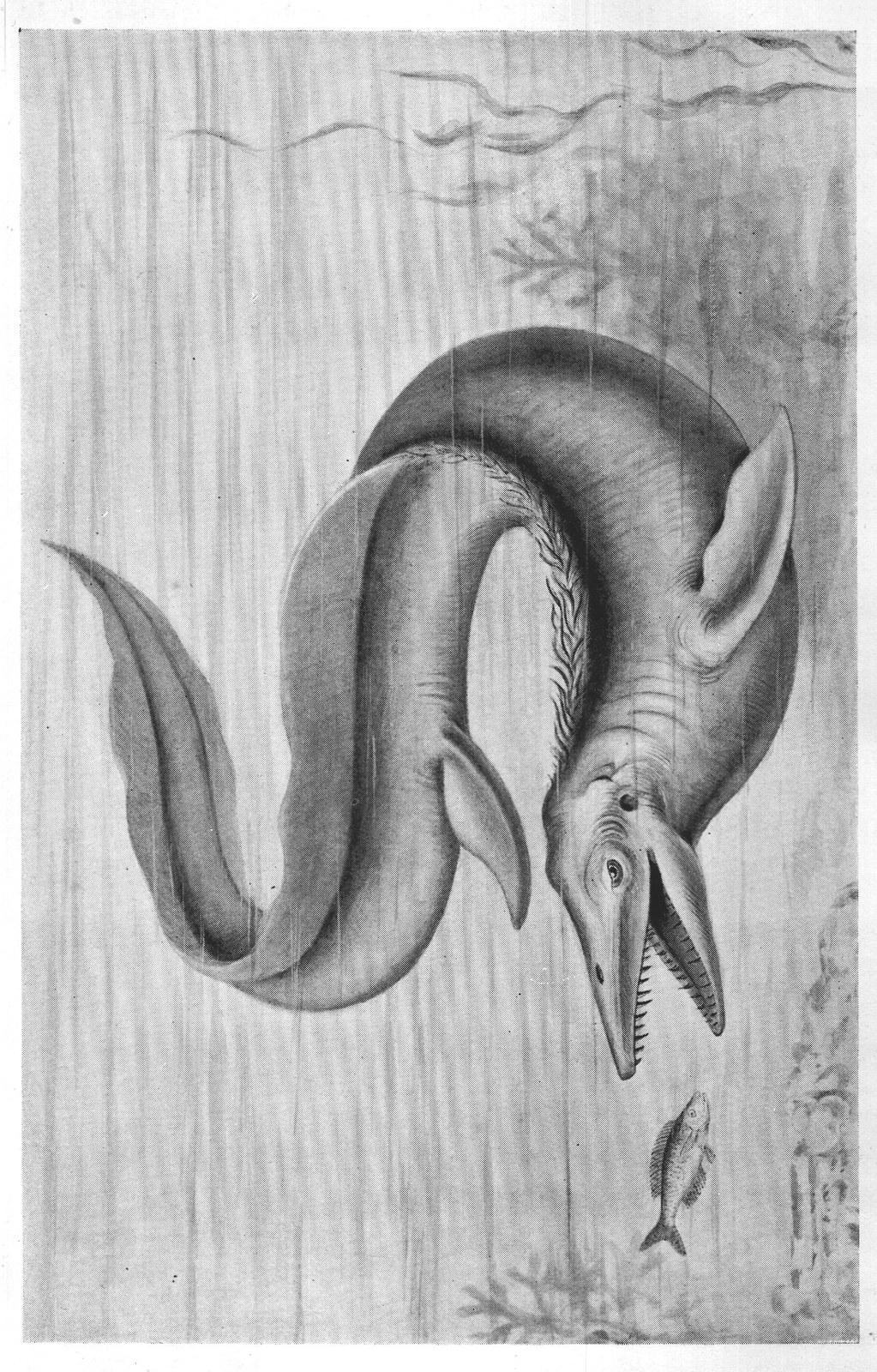 Sea-Serpents: Williston — from Extinct Monsters and Creatures of Other Days (1900)