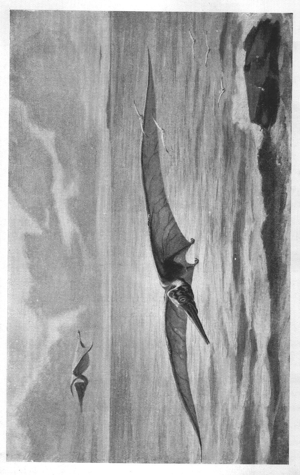 Flying Dragons: Pteranodon — from Extinct Monsters and Creatures of Other Days (1900)