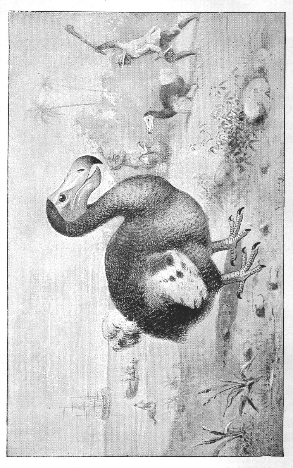 Ancient Birds: Marsh's — from Extinct Monsters and Creatures of Other Days (1900)