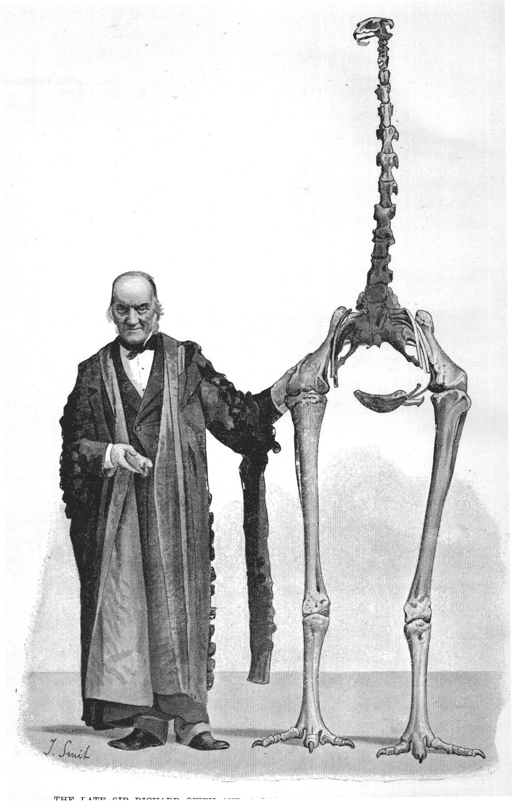 THE LATE SIR RICHARD OWEN AND A SKELETON OF MOA, DINORNIS MAXIMUS.