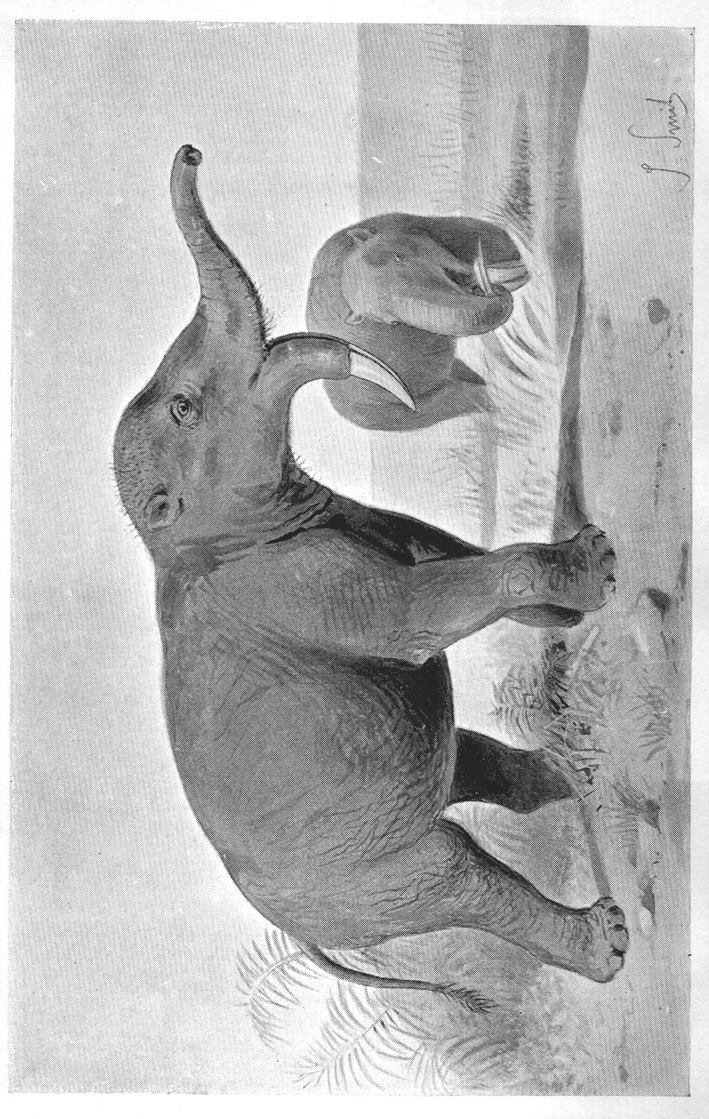 The Story of the Elephants: Mammoth — from Extinct Monsters and Creatures of Other Days (1900)
