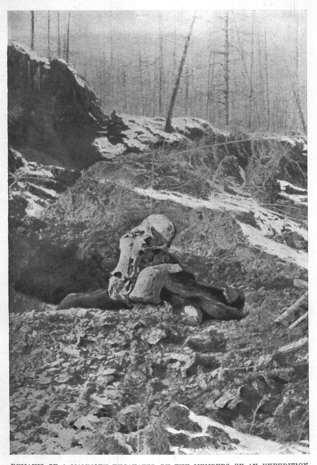 REMAINS OF A MAMMOTH EXCAVATED BY THE MEMBERS OF AN EXPEDITION