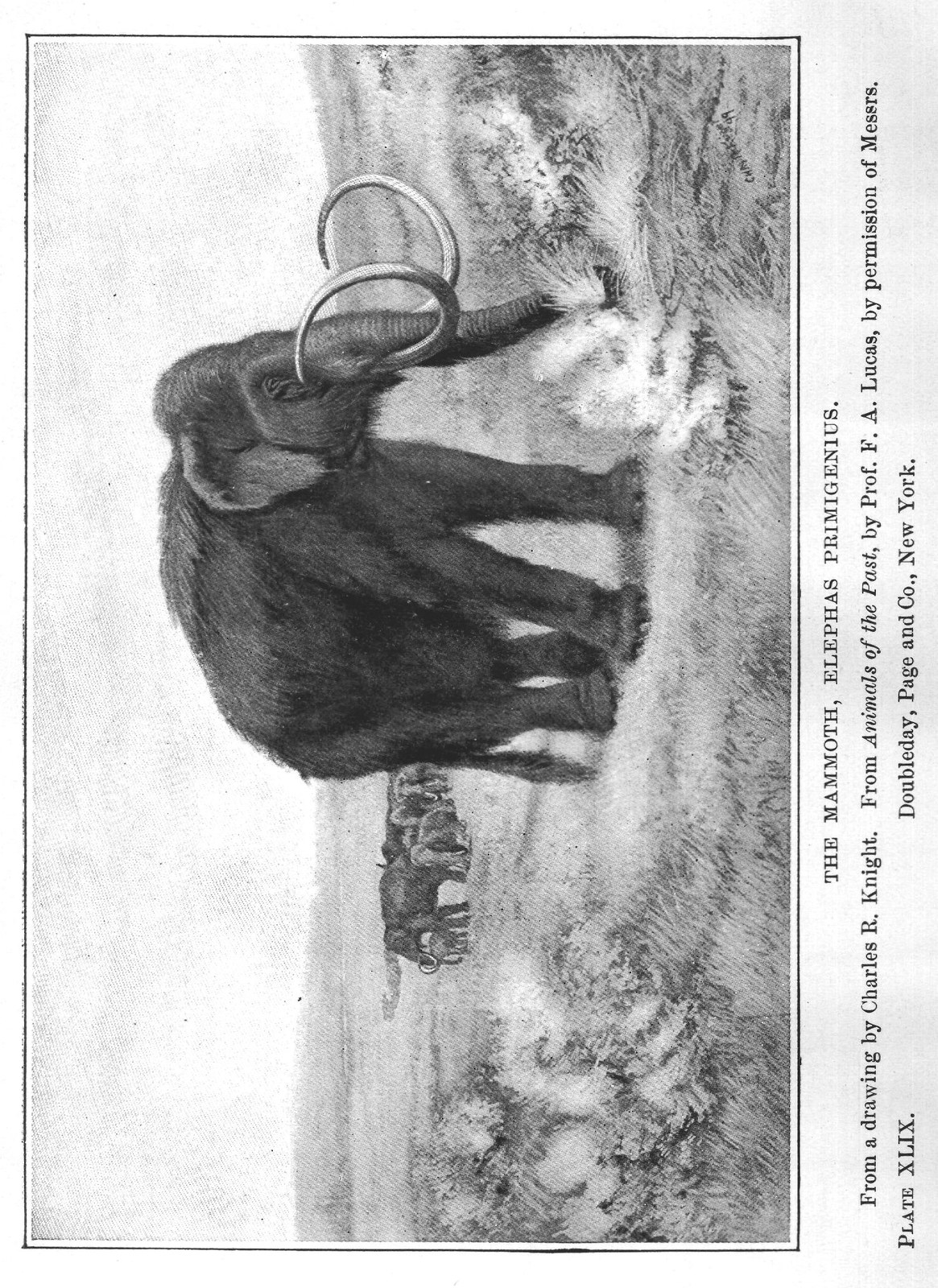 The Story of the Elephants: Petersburg — from Extinct Monsters and Creatures of Other Days (1900)