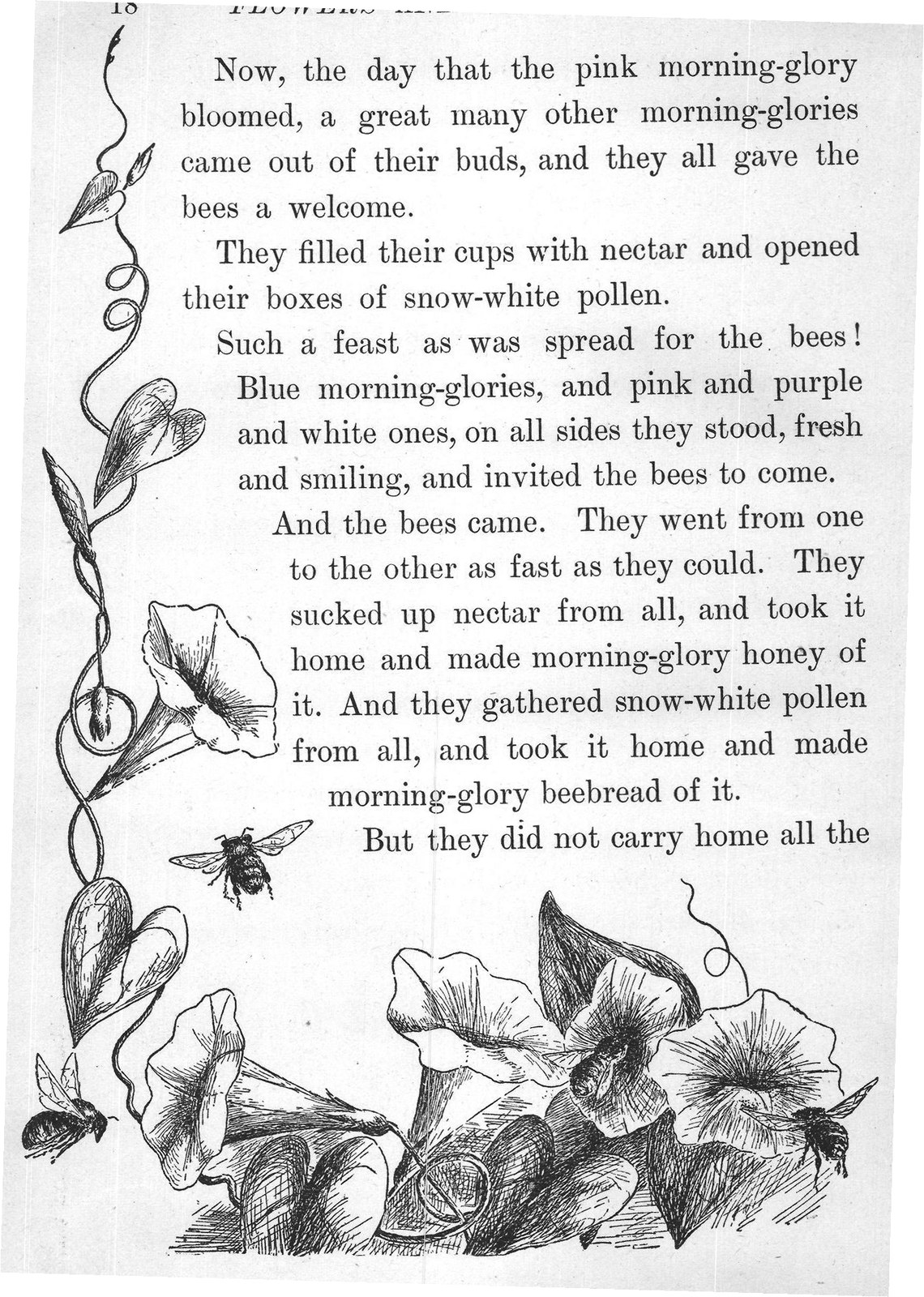 FLOWERS AND THEIR FRIENDS.