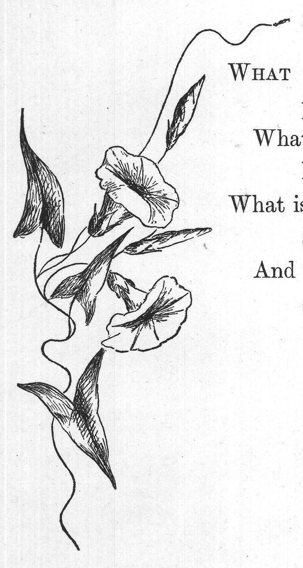 To the Morning-Glory β from Flowers and Their Friends (1897)