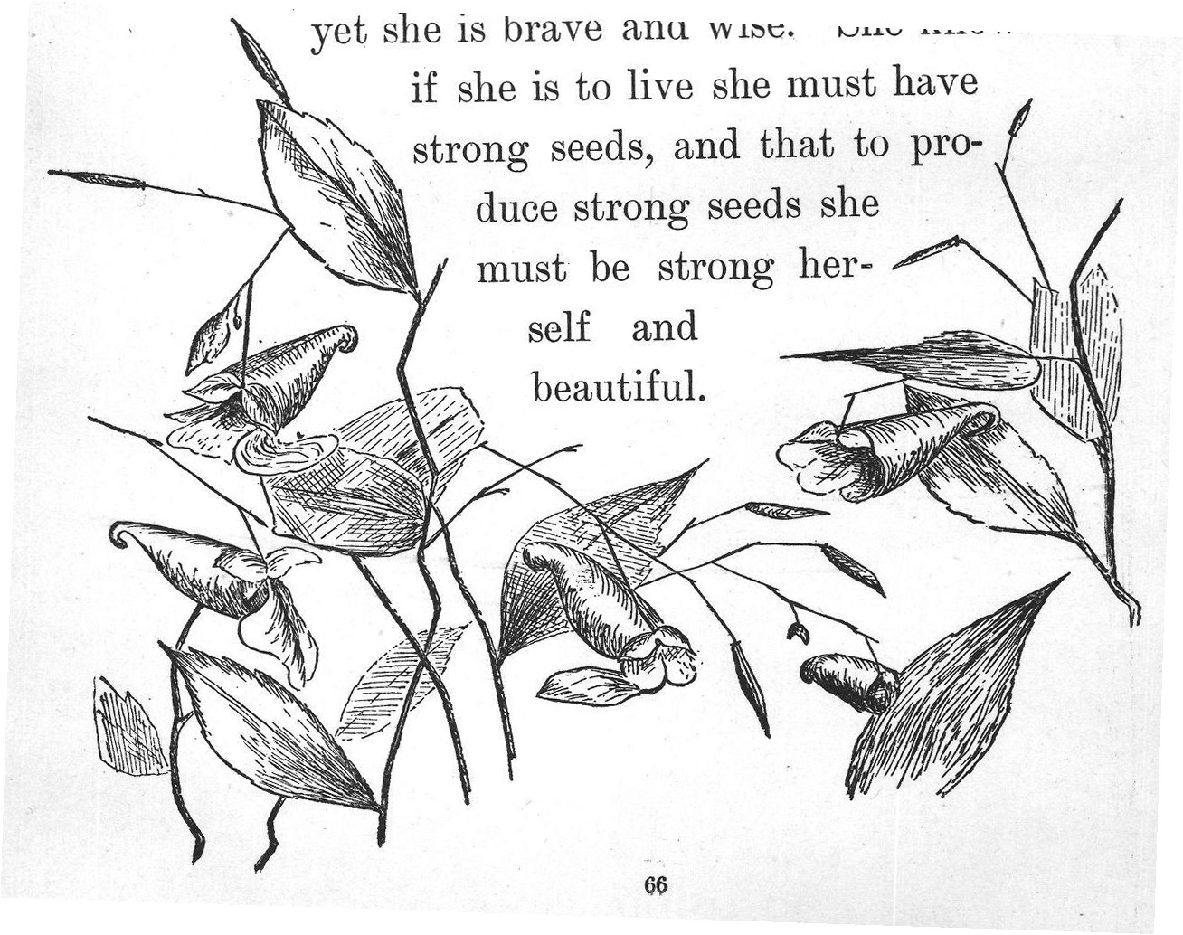 yet she is brave and wise. She knows