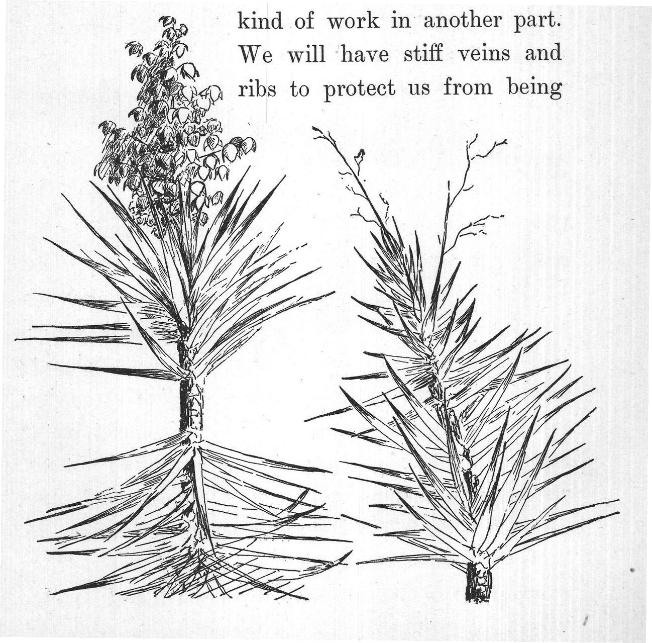 do one kind of work in one part of us and another