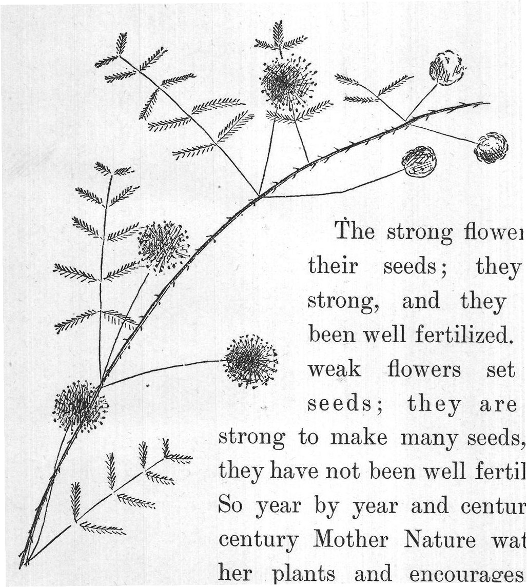 her plants and encourages the