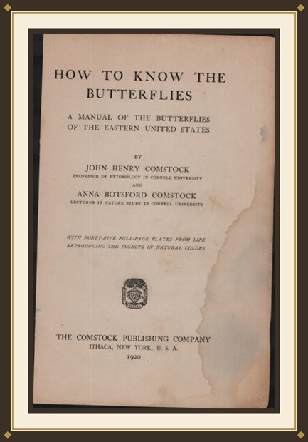 How to Know the Butterflies