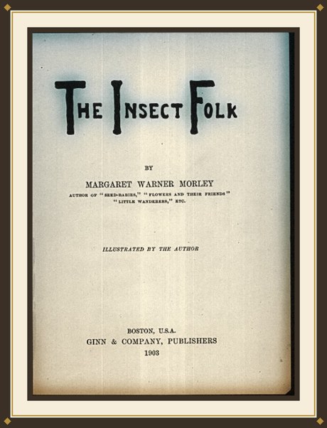 The Insect Folk