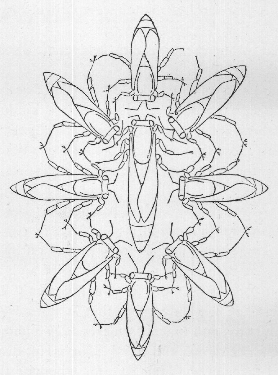 bee until only her legs are visible.