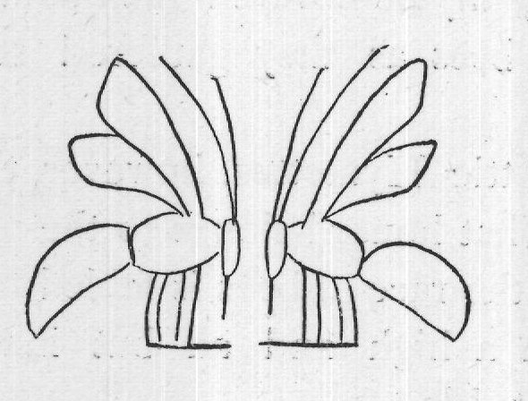 In Egypt and the East: Palestine — from The Honey-Makers (1899)