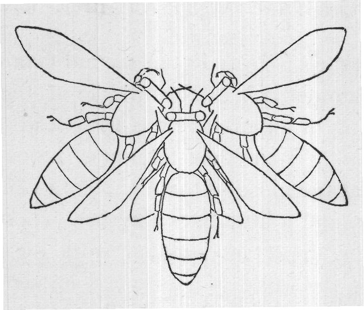 Curious Customs and Beliefs in Modern: Vives — from The Honey-Makers (1899)