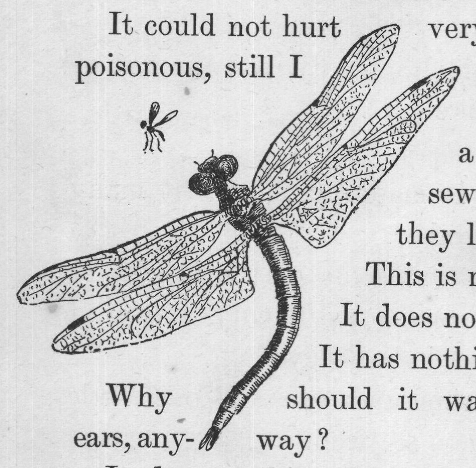 It does nothing unpleasant but bite fingers, and it