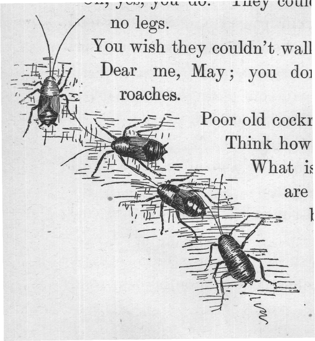Oh, yes, you do. They could not walk if they had