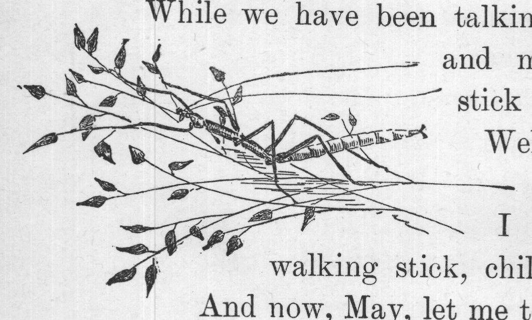 And now, May, let me tell you something.
