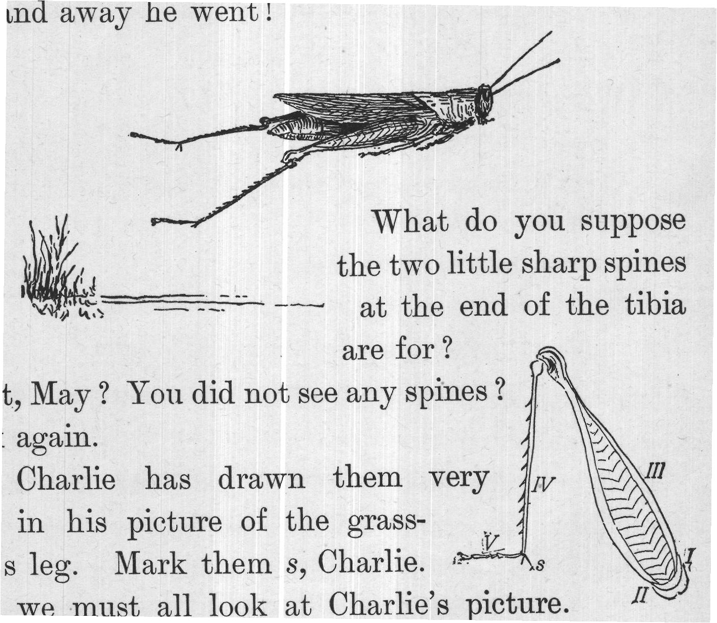 Now we must all look at Charlie's picture.