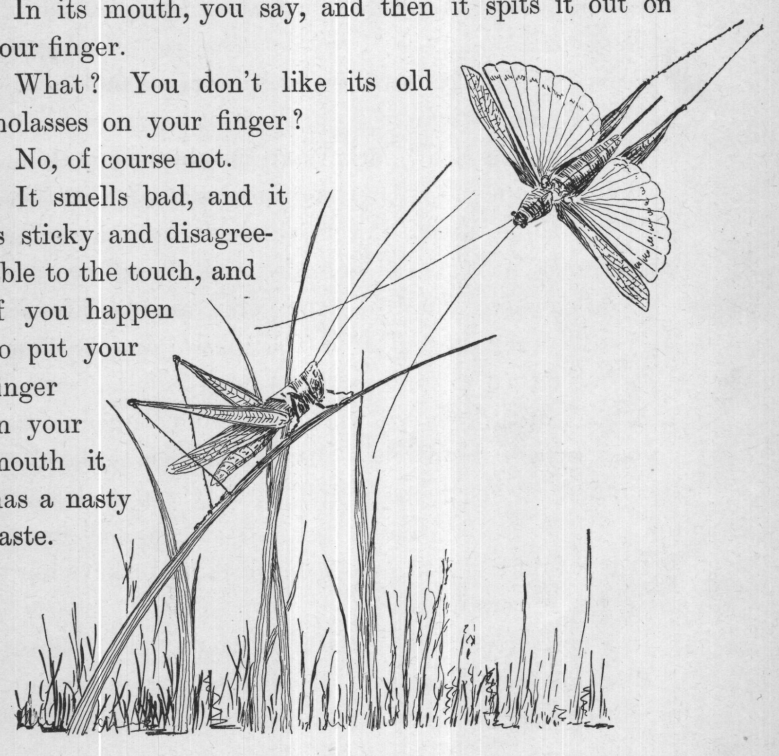 In its mouth, you say, and then it spits it out on