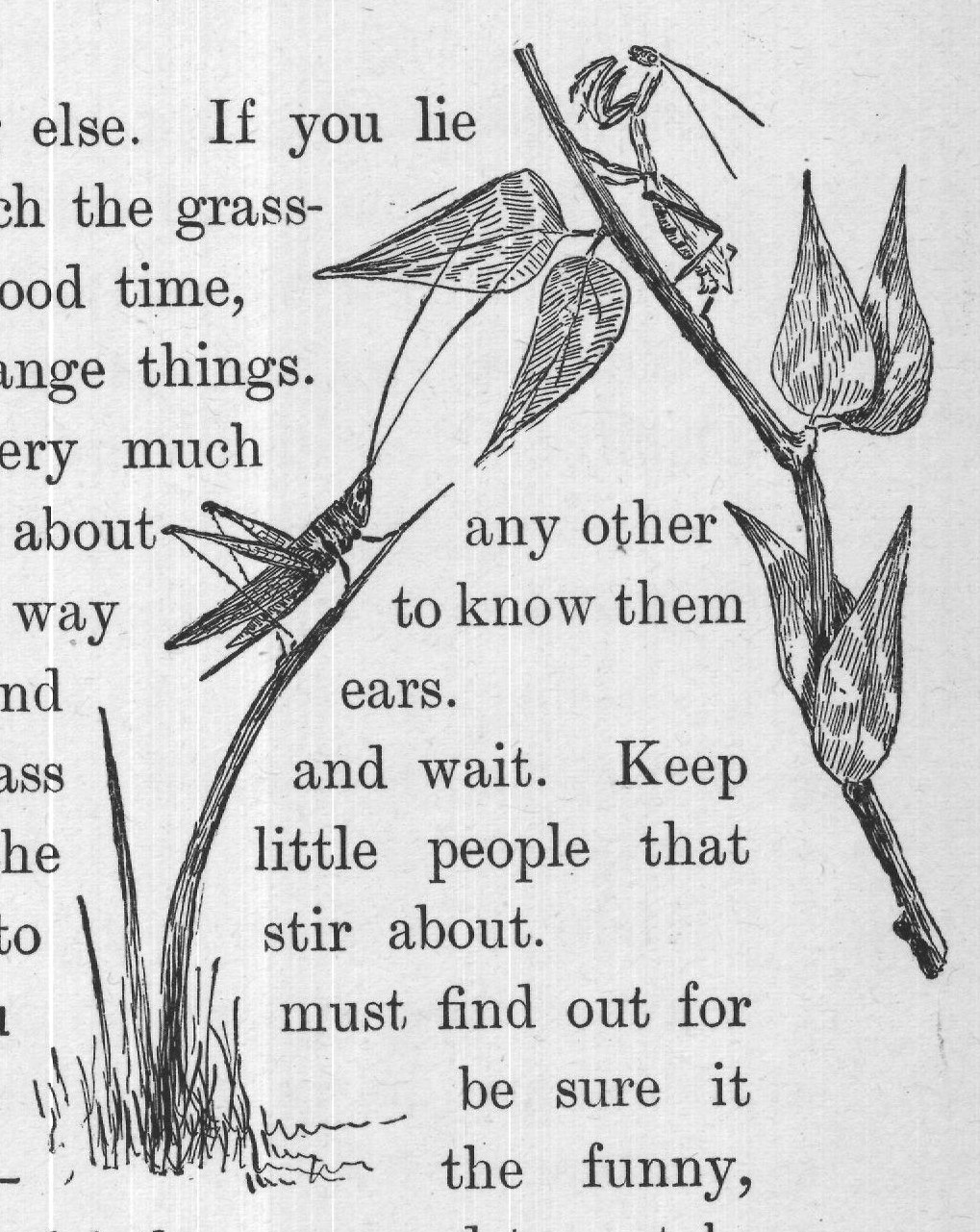 clever, wise little people! - ah! they are good to watch.