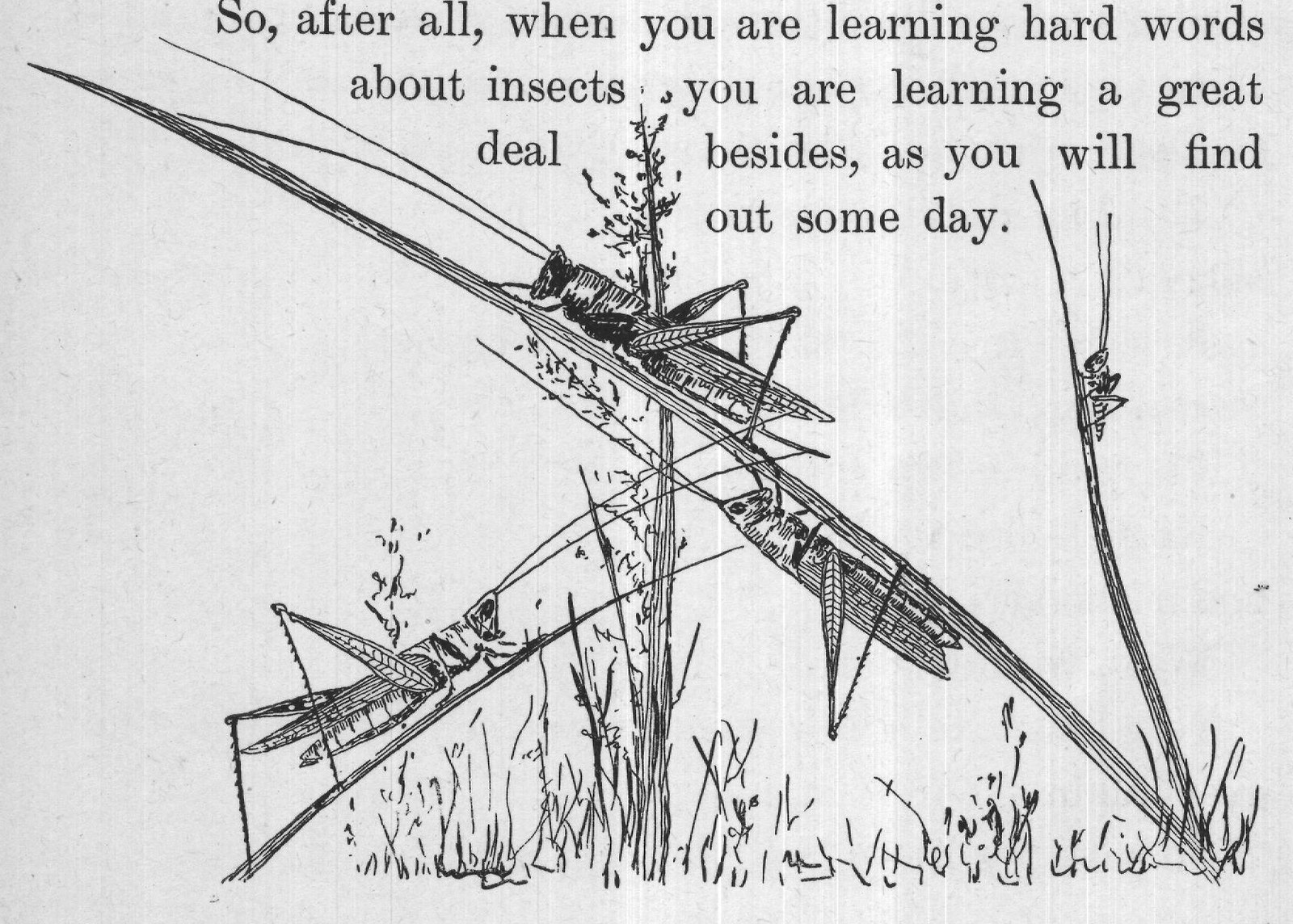 So, after all, when you are learning hard words