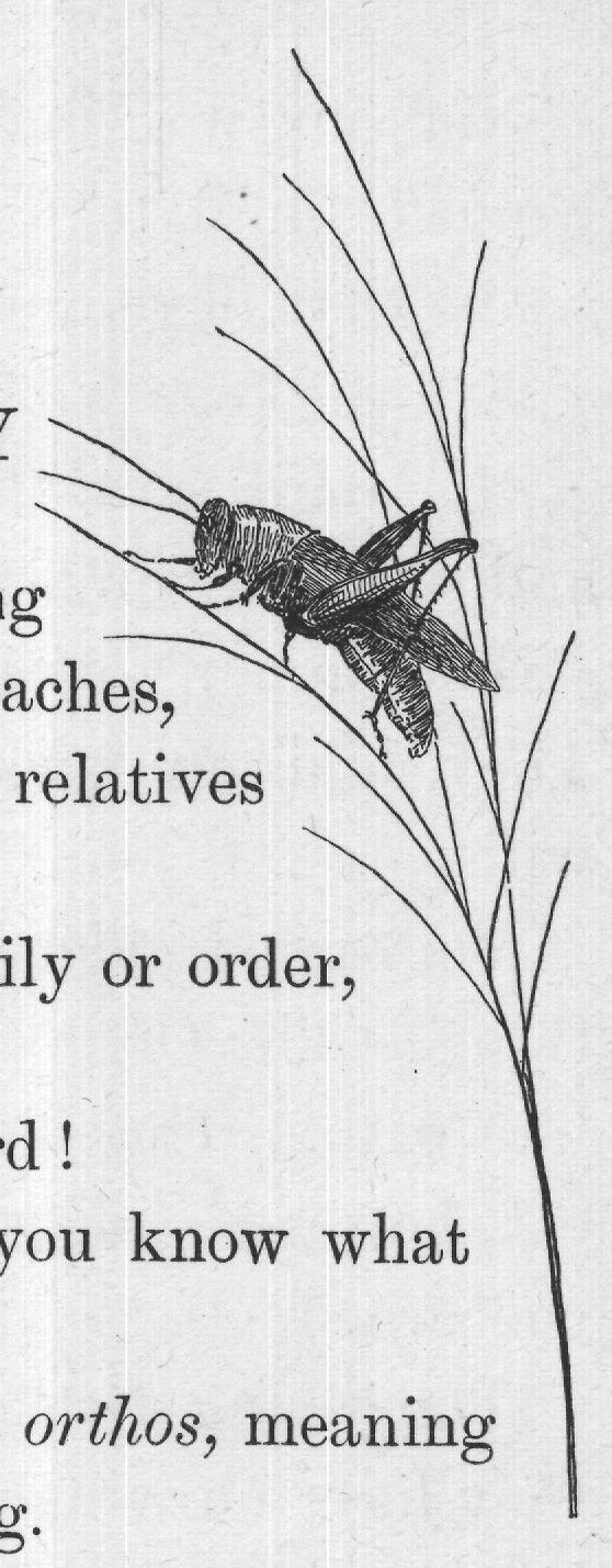And do you know, it does not mean that the upper