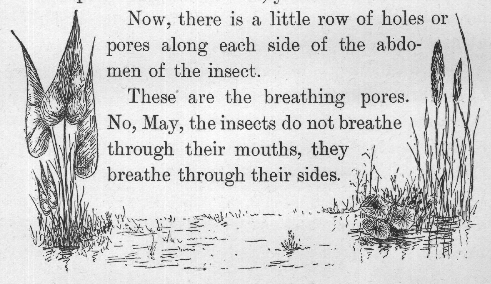 Even plants breathe the air, you know.