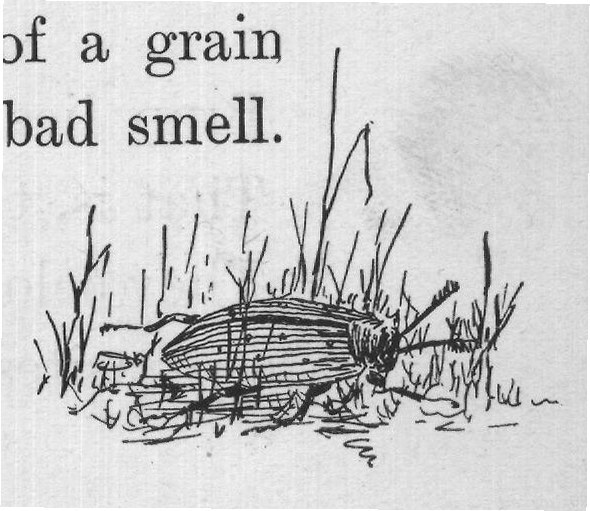 Well, you will be astonished to know that your nose
