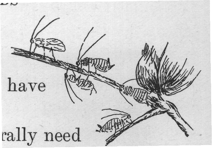 not search at all. All we need do is to examine the