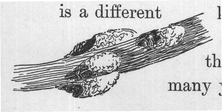 is a different